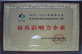 2010Ӱҵ